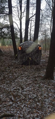 Customer photo review of VisMax See Through Blind | 270° Pop Up 3-4 Man Deer Blind | Portable Ground Blind Hunting for Sale with Hunters Comfort Design