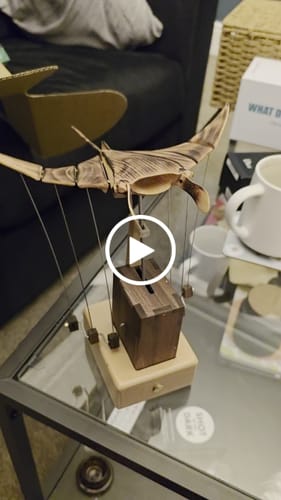 Customer video review of Handcrafted Wooden Manta Ray Automaton