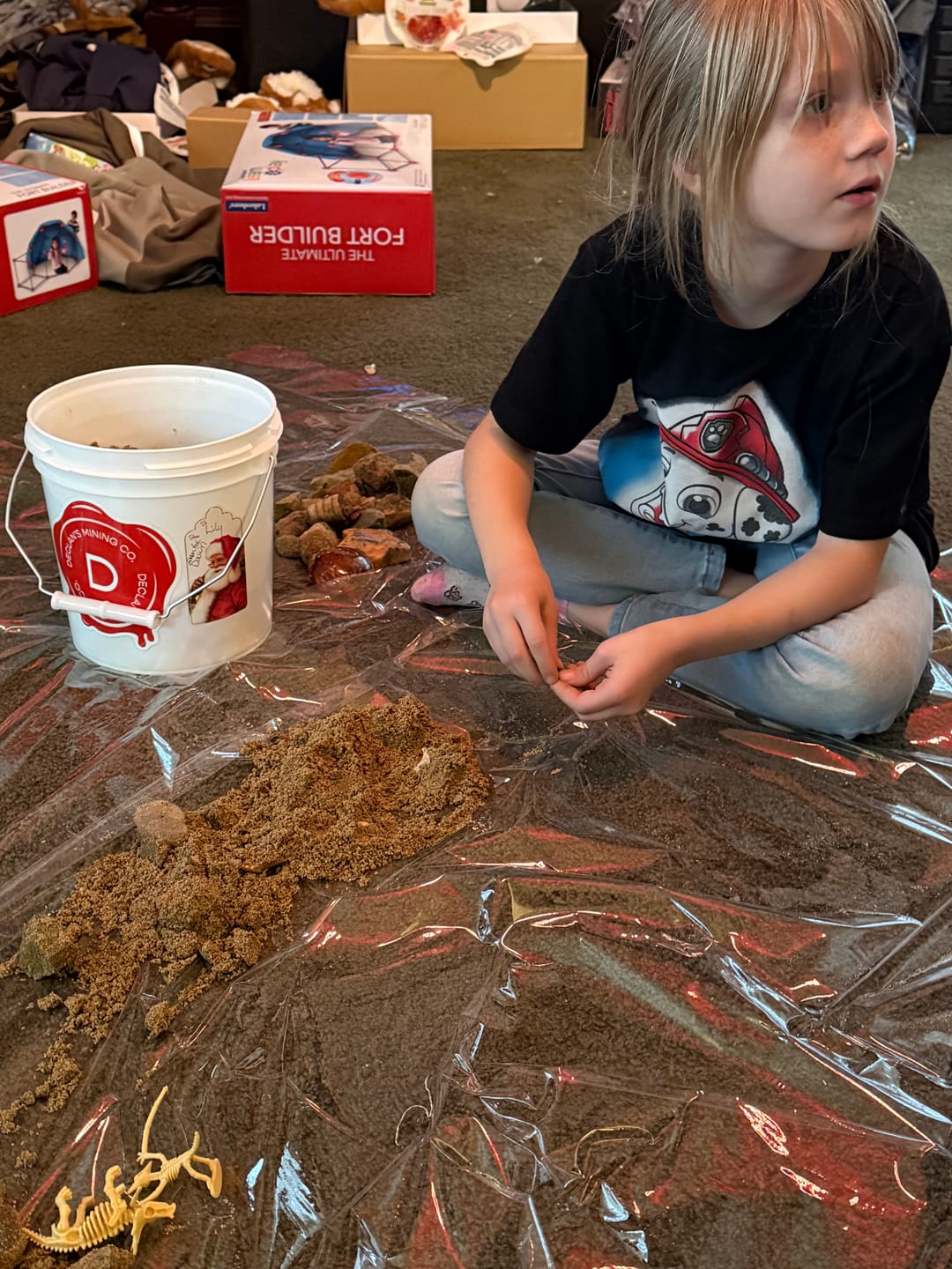 Customer photo review of Declan’s Mix Bucket