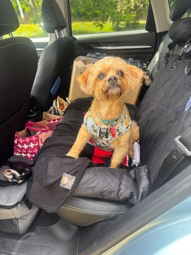 Customer photo review of Car Seat Cover