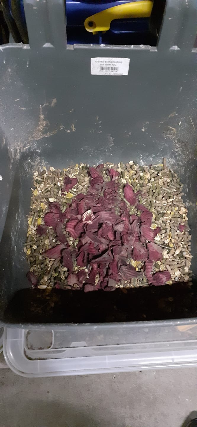 Customer photo review of Rote Beete Chips