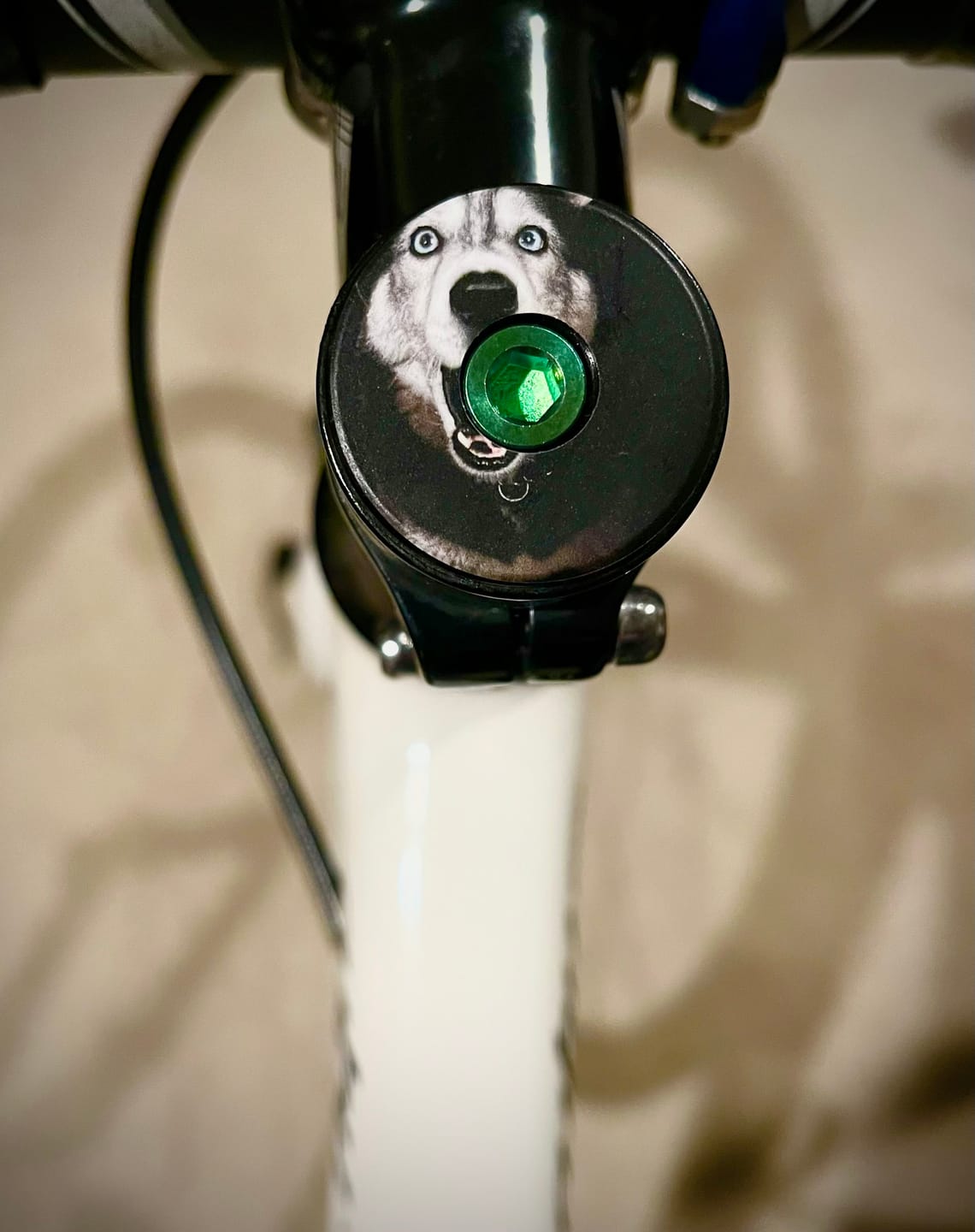 Customer photo review of Custom Topcap