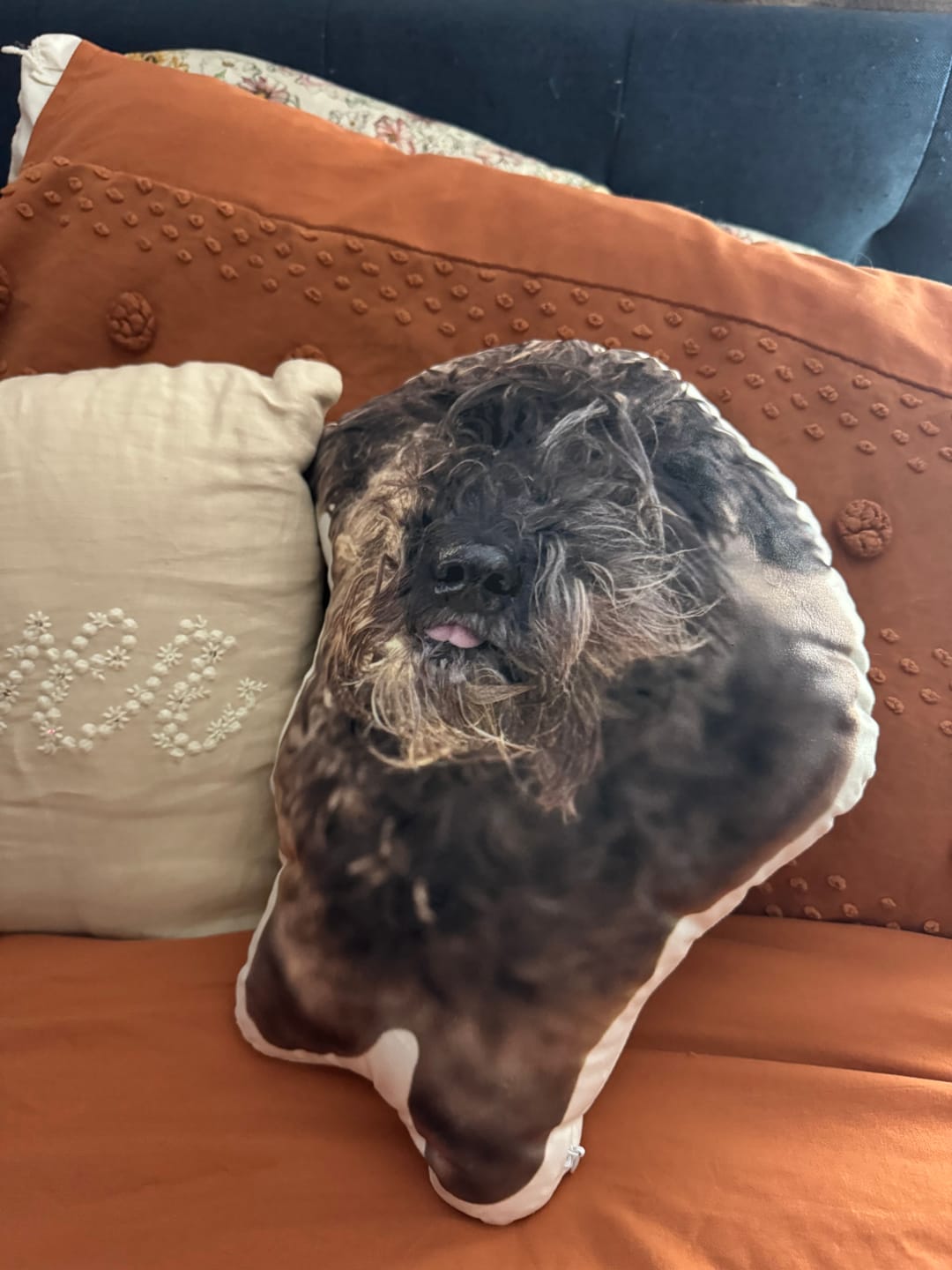 Customer photo review of Custom Dog Shaped Memorial Pillow for Pet Owners from Your Pet Picture