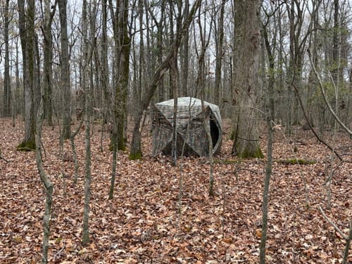Customer photo review of VisMax See Through Blind | 270° Pop Up 3-4 Man Deer Blind | Portable Ground Blind Hunting for Sale with Hunters Comfort Design