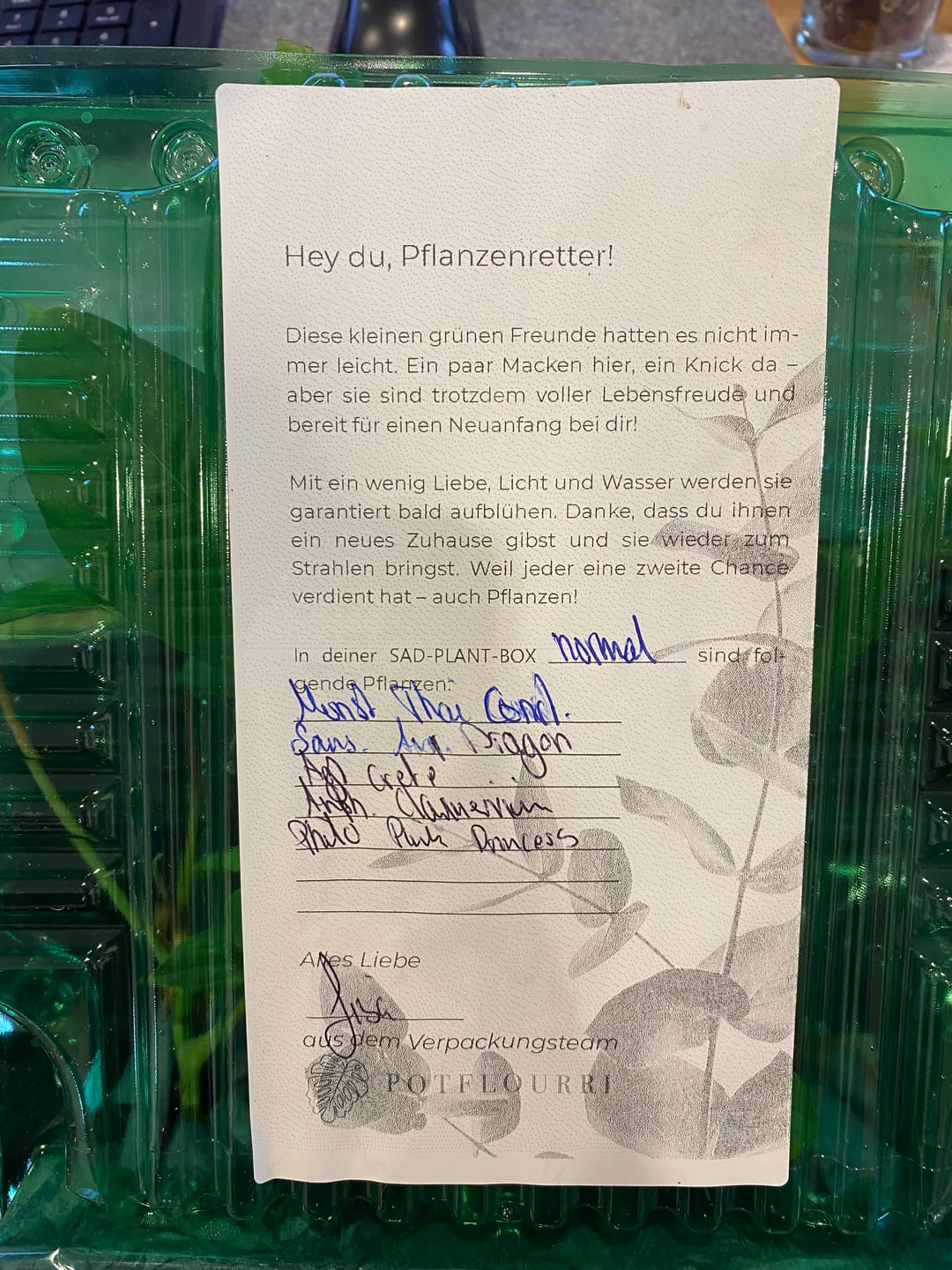 Customer photo review of SAD-PLANT-SET