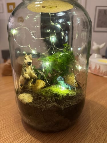 Kundenbild des fertigen Flaschengartens im Glas, dekoriert mit Moos, Pflanzen, Lichtern und kleinen Tierfiguren.