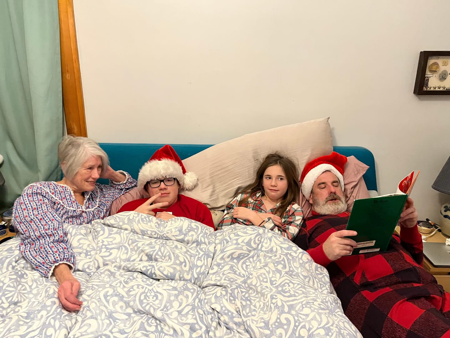 Customer photo review of Classic Blue Tyrolean Stripe Flannel Nightgown