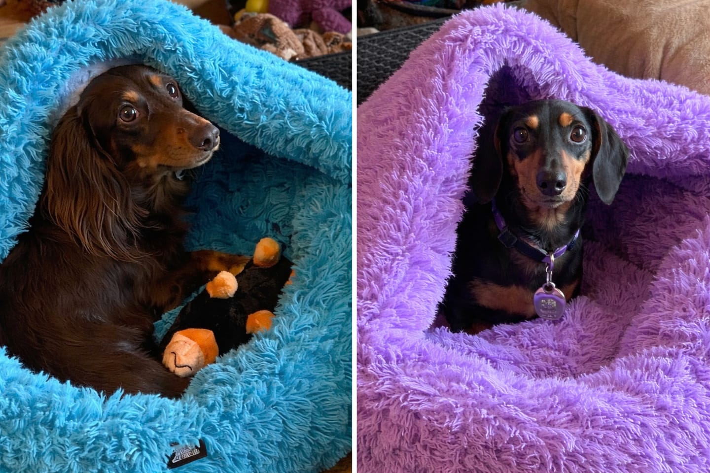 Customer photo review of Oodle-Doo Burrow Bed