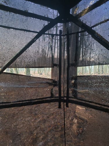 Customer photo review of VisMax See Through 3-4 Person Hunting Blind, Pop Up Ground Deer Blind