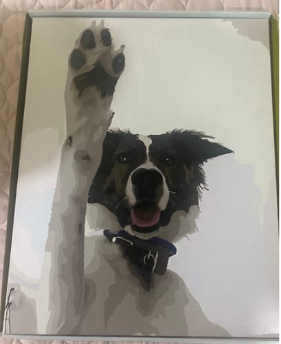 Customer photo review of Custom Pet Paint By Numbers