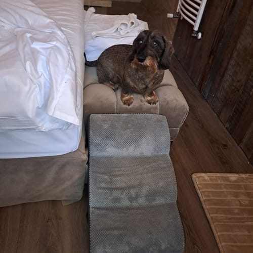 Customer photo review of FurStairs  Beltéri Kutyalépcső – Ágyra és Kanapéra Ugrás Nélkül