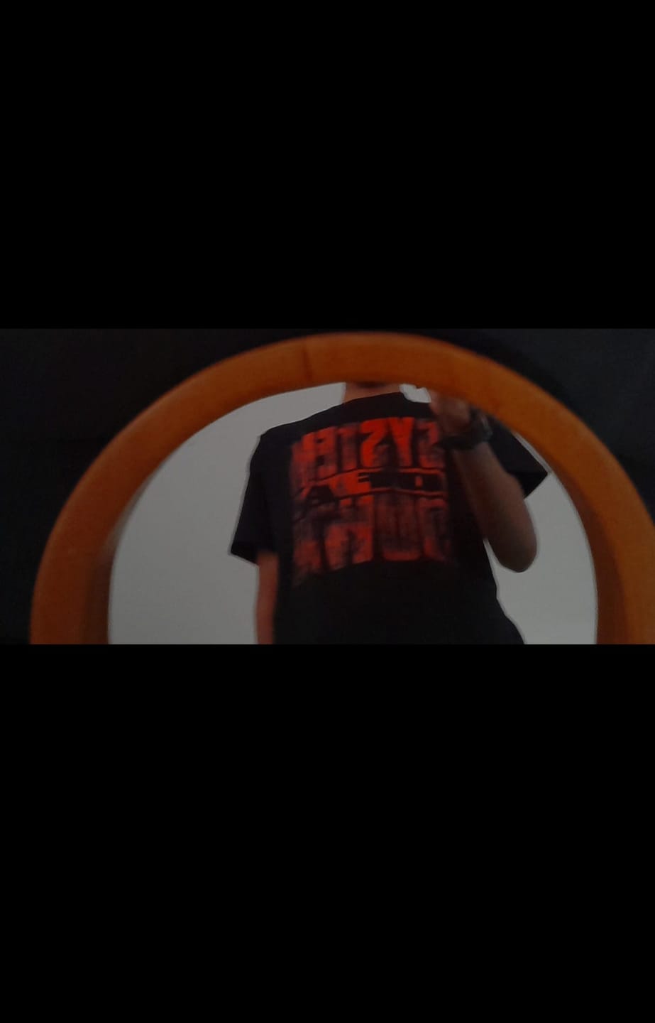 Customer photo review of Camiseta Algodon Doble Estampado System Of A Down