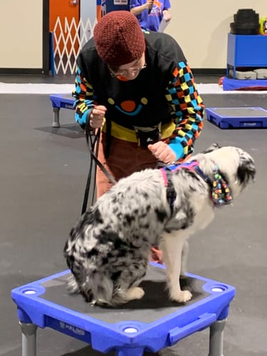 Customer photo review of Black Silly Clown Sweater
