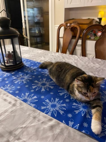 Customer photo review of Subtle F*ck Trump Snowflake Hand Towel