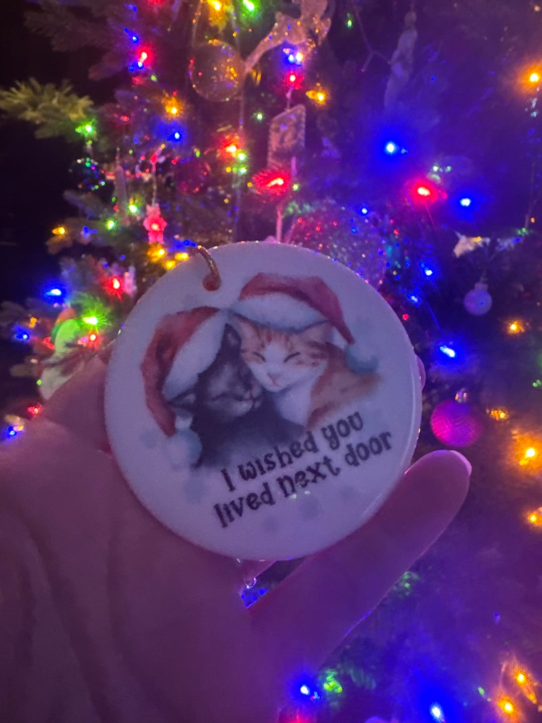 Customer photo review of I Wished You Lived Next Door Ceramic Ornament