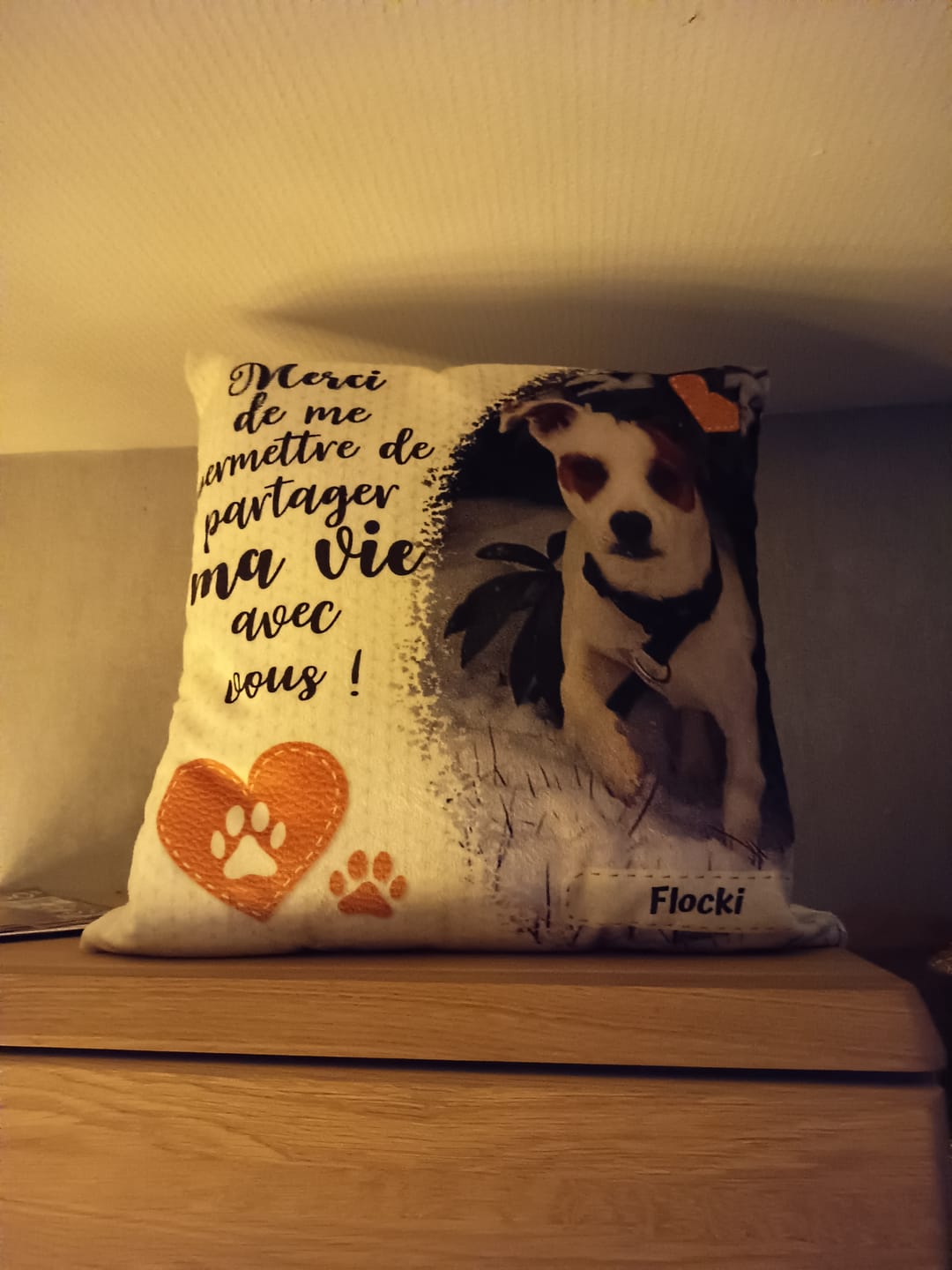 Customer photo review of Merci - Coussin personnalisé