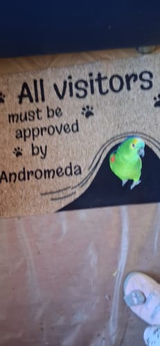 Customer photo review of Visit approved - Personalised Doormat