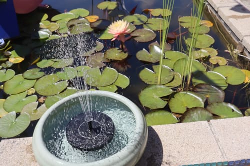 Customer photo review of AhiSpring™ | Solar Garden Fountain