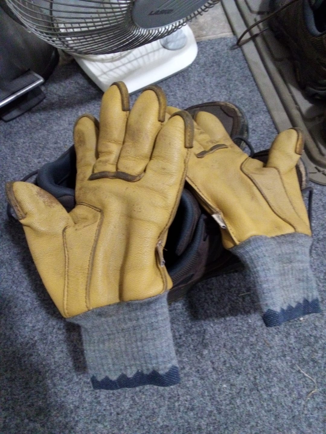 Customer photo review of Tuttle