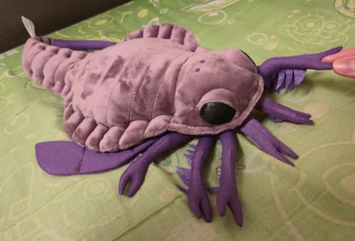 Customer photo review of Lifelike Carcinosoma Sea Scorpion Plush – Soft, Detailed, and Perfect for Prehistoric Fans