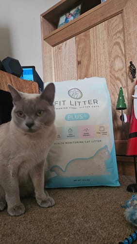 Customer photo review of Fit Litter PLUS+