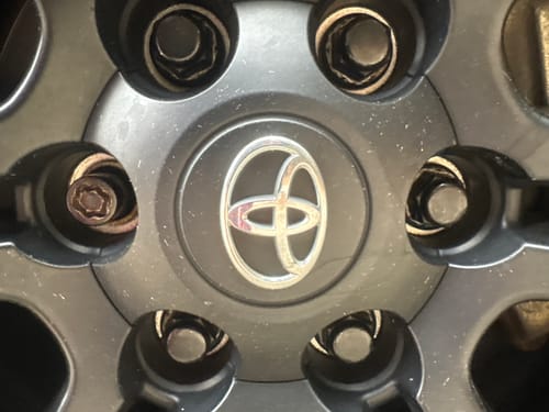 Customer photo review of Make Toyotas Great Again 2024 Heavy Weight Hoodie- Black
