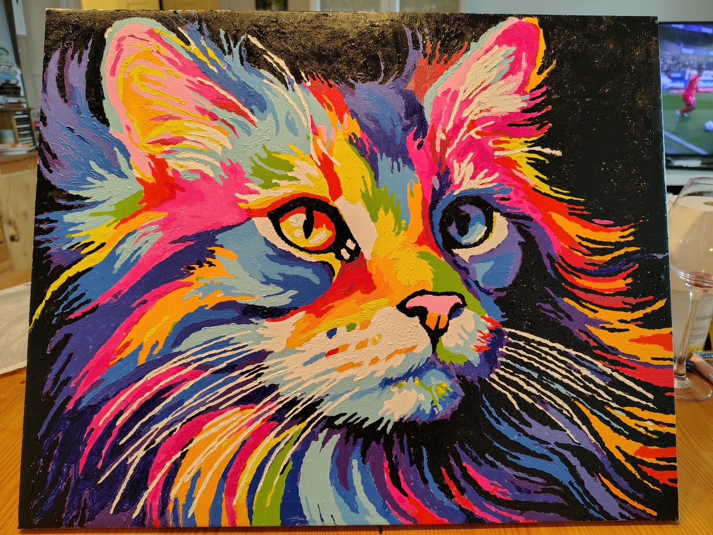 Customer photo review of Colorful Cat