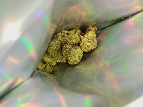 Customer photo review of Shipping Protection by Route