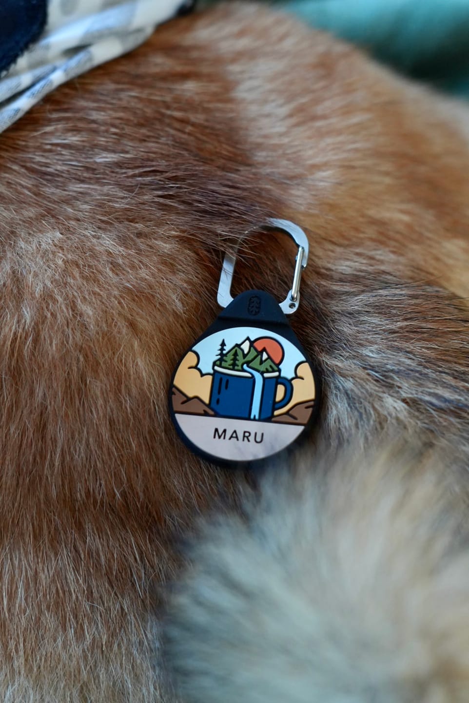 Customer photo review of Roastscape™ - Silent Dog ID Tag