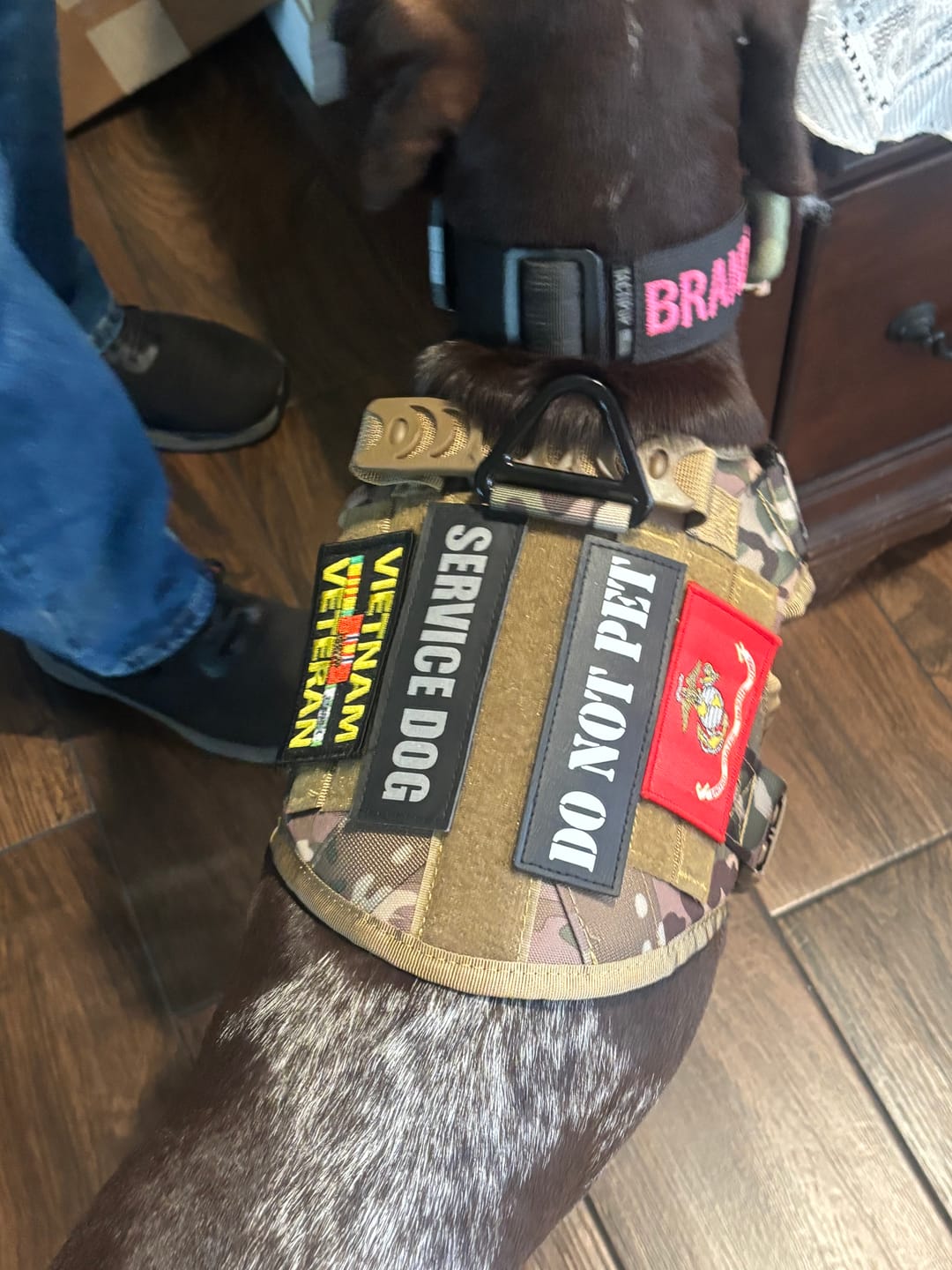 Customer photo review of 2MBH Harness Exchanges