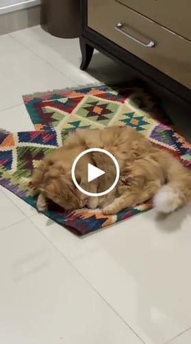 Customer video review of Table Runner (4’11” x 1'8”)