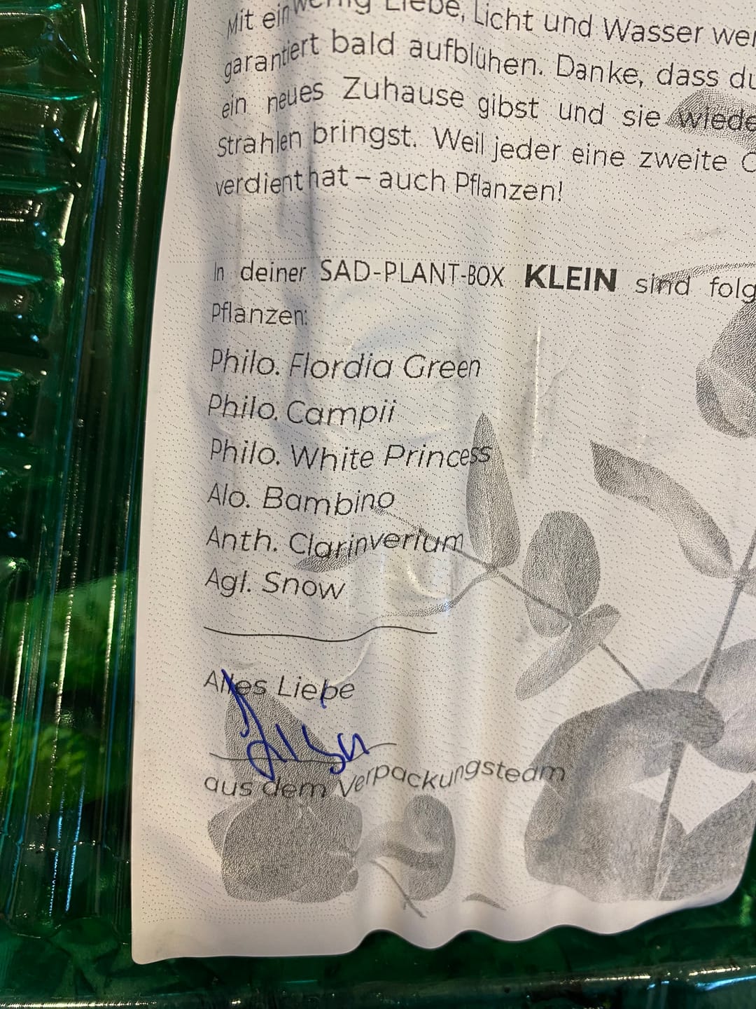 Customer photo review of SAD-PLANT-SET