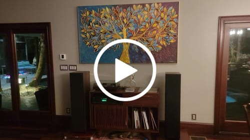 Customer video review of Tree of Life