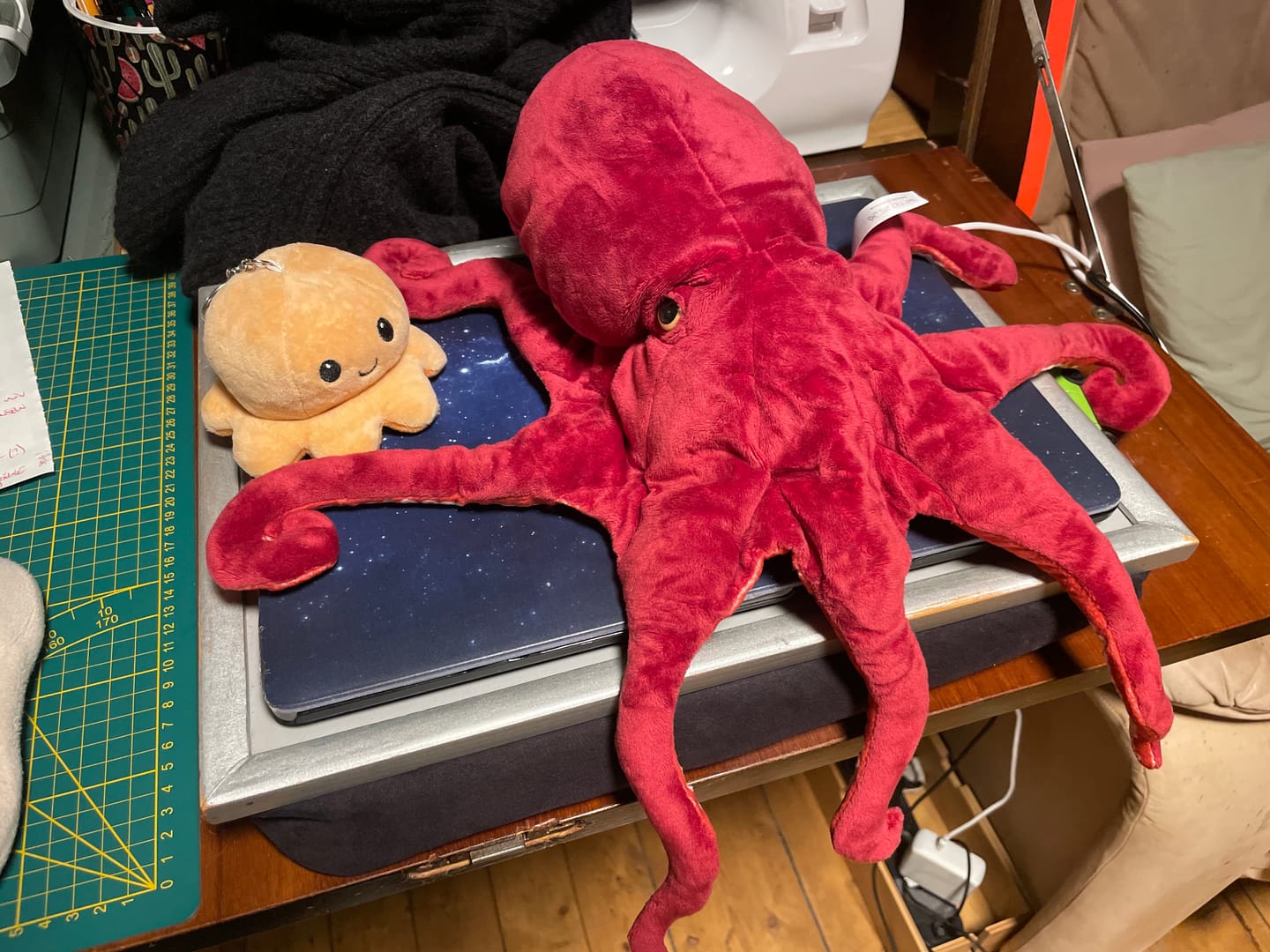 Customer photo review of Red Octopus Soft Stuffed Plush Toy