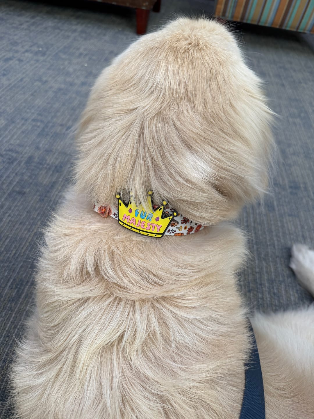 Customer photo review of Peace Dog Jiby Dog Charm
