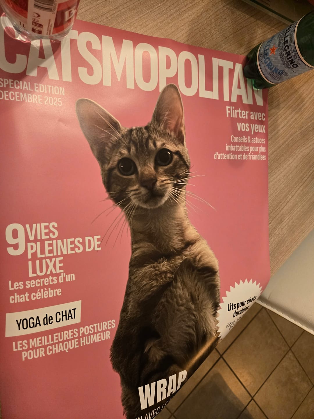 Customer photo review of Catsmopolitan - Poster personnalisé
