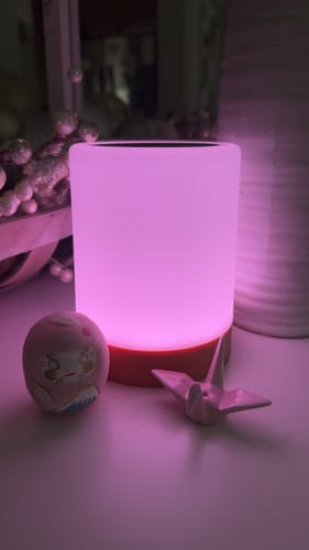 Customer photo review of Friendship Lamp