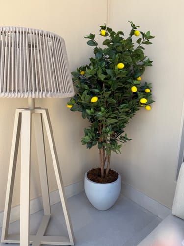 Customer's Marrakech Solar Floor Lamp with a beige A-frame and woven shade, shown indoors in a corner next to a potted plant.