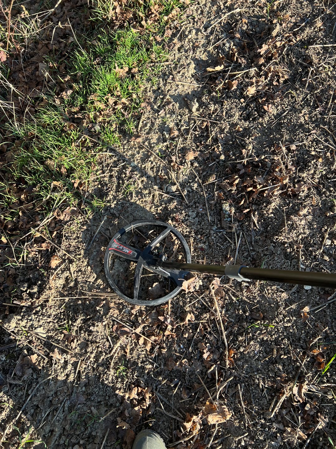 Customer photo review of XP Deus 2 DD FMF 28 Spule