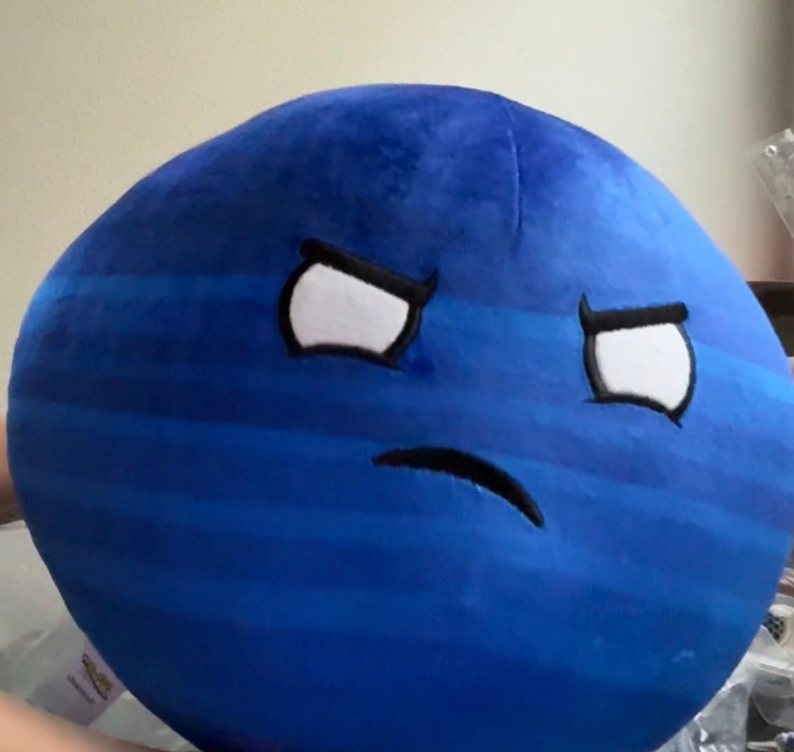 Customer photo review of The SolarBalls Planet X Plush