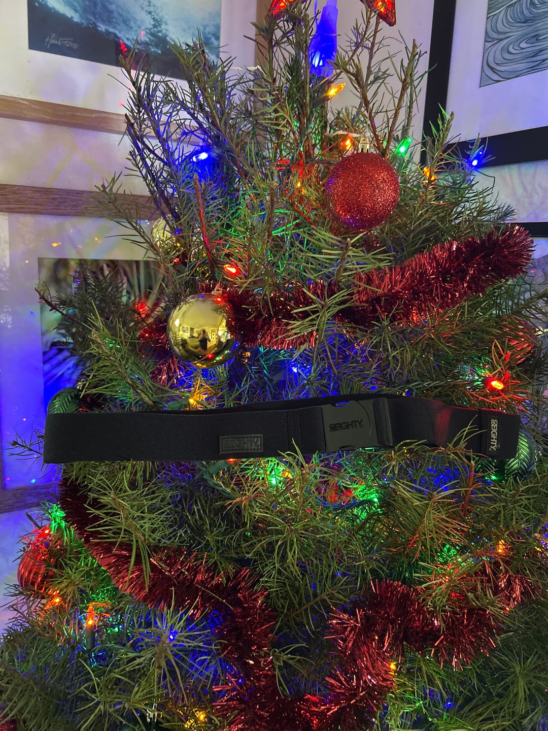 Customer photo review of 80Eighty® Resilient Belt