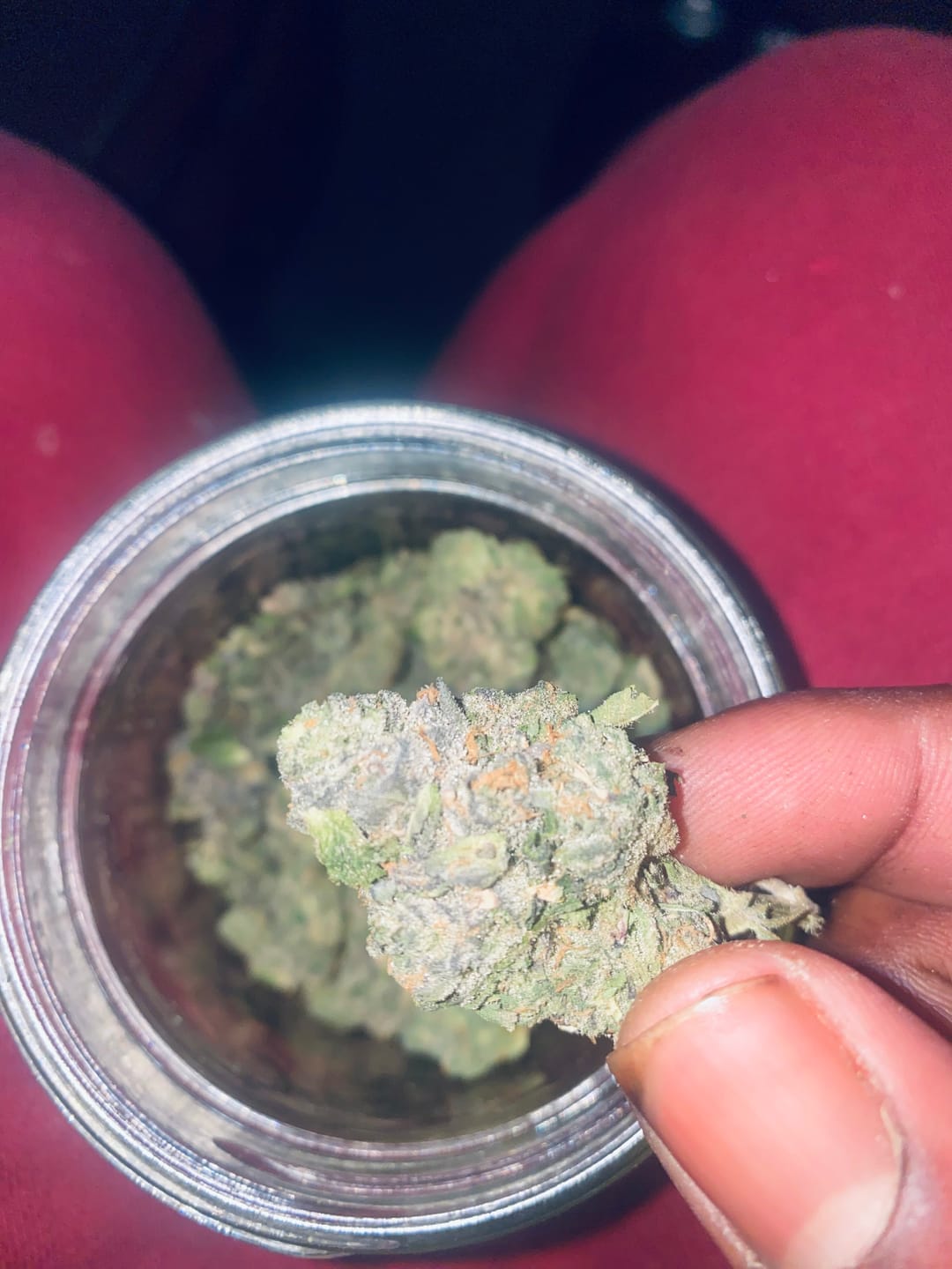 Customer photo review of Blue Dream THCA Flower