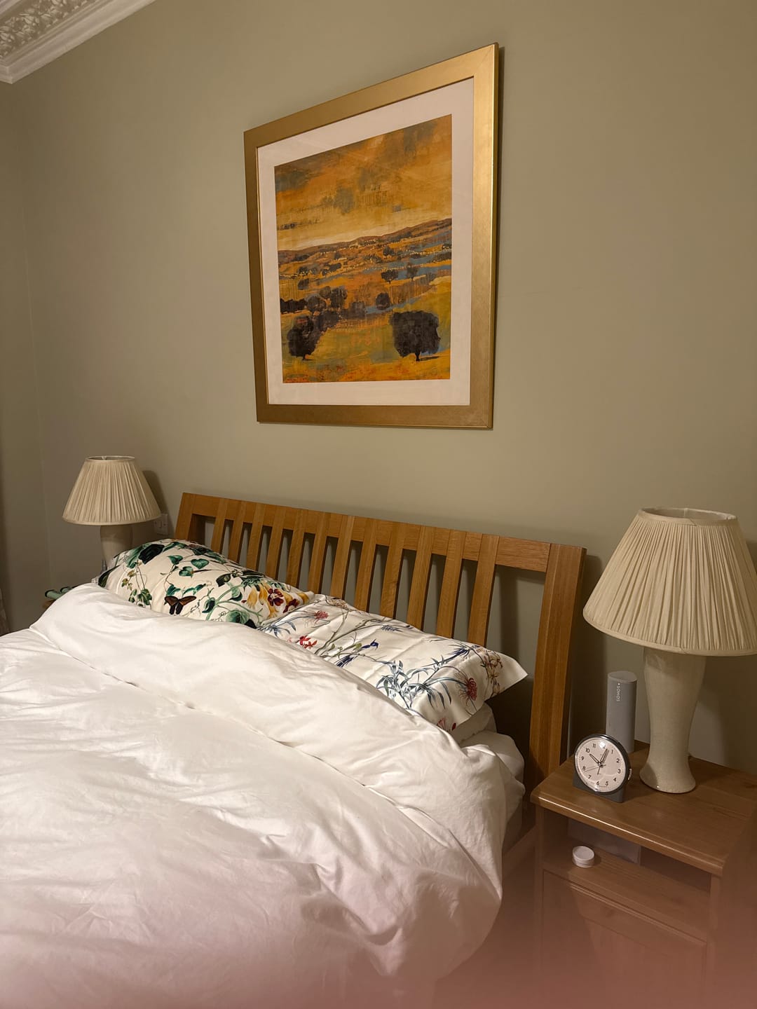 Customer photo review of Hummingbird Pure Silk Pillowcase