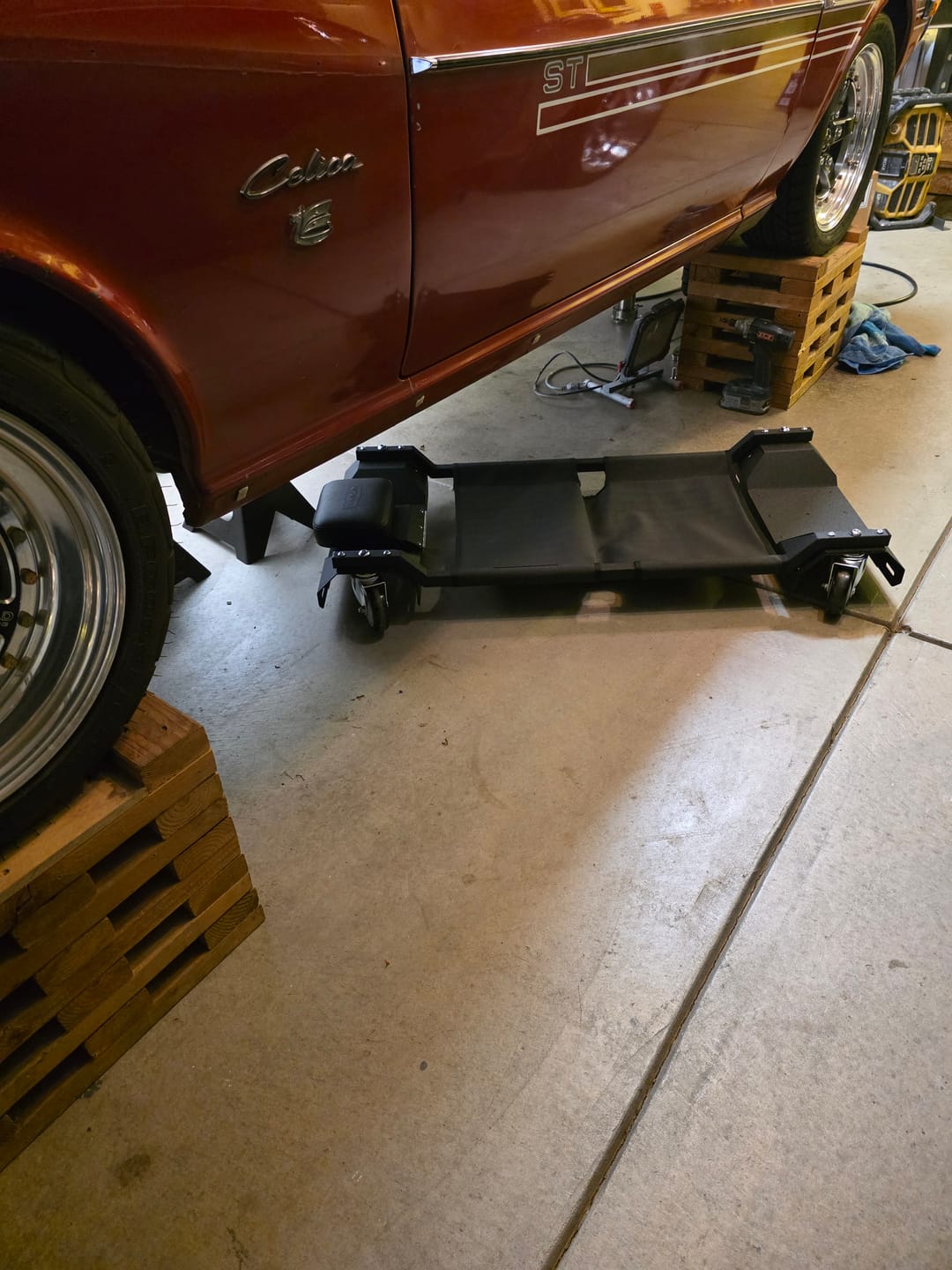 Customer photo review of LAY-DOWN CREEPER