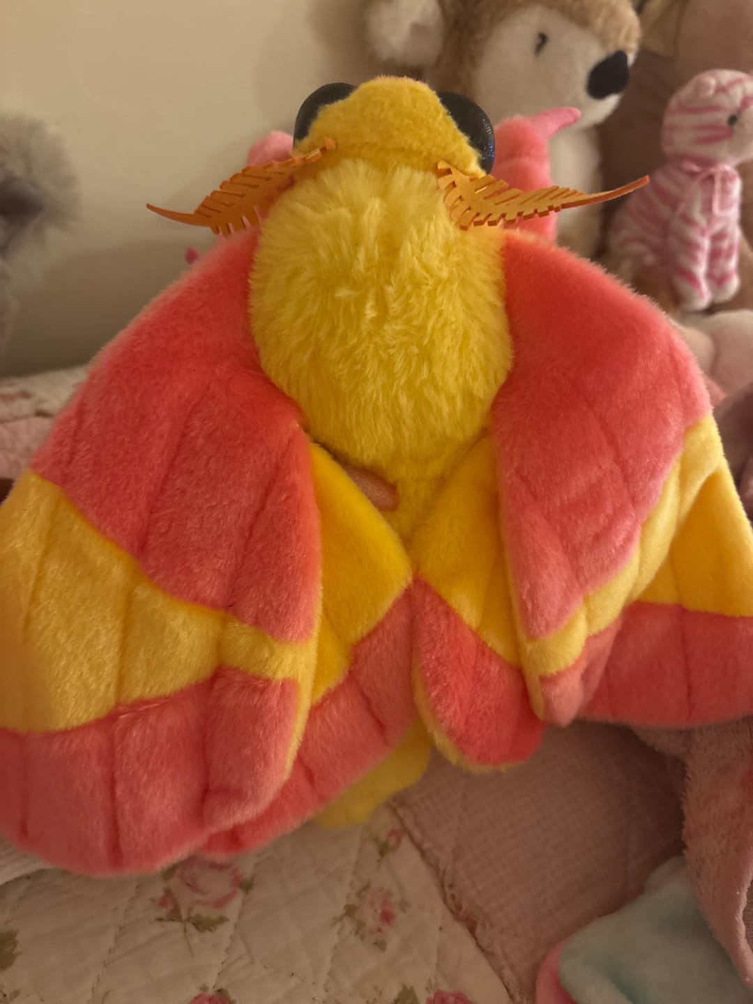 Customer photo review of Rosy Maple Moth Soft Stuffed Plush Toy