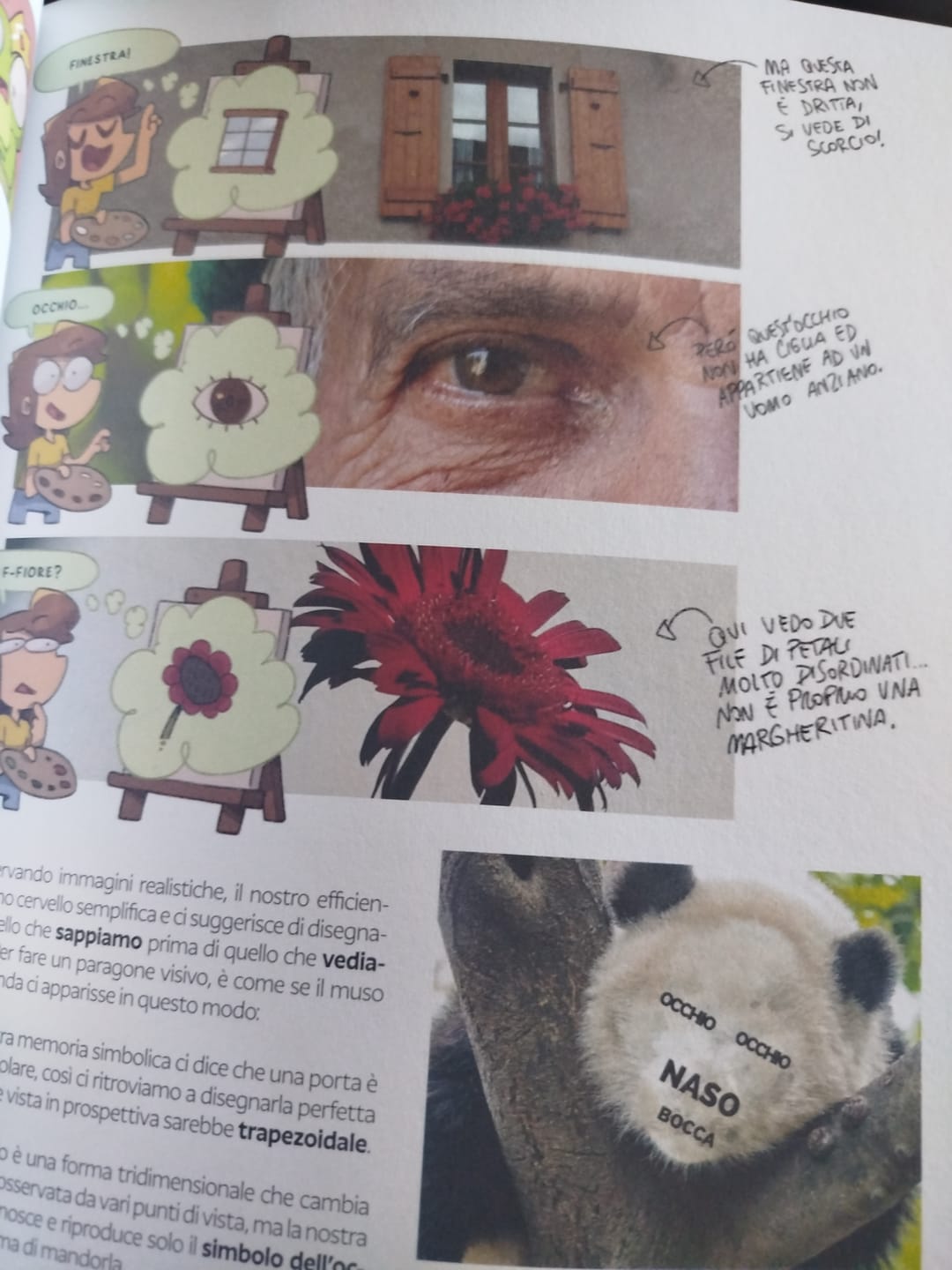 Customer photo review of Fraffrog - Tutti possono disegnare (pure te)