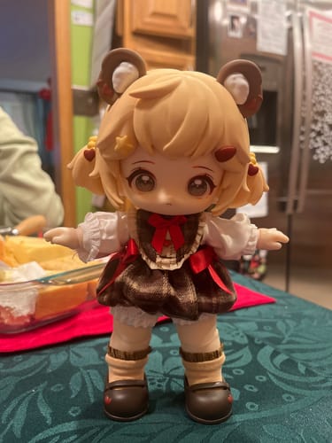 Customer photo review of HANI Sweet Dreamland Large Size Action Figure BJD Blind Box
