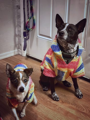 Customer photo review of Free & Easy Return or Exchange Coverage + Package Protection