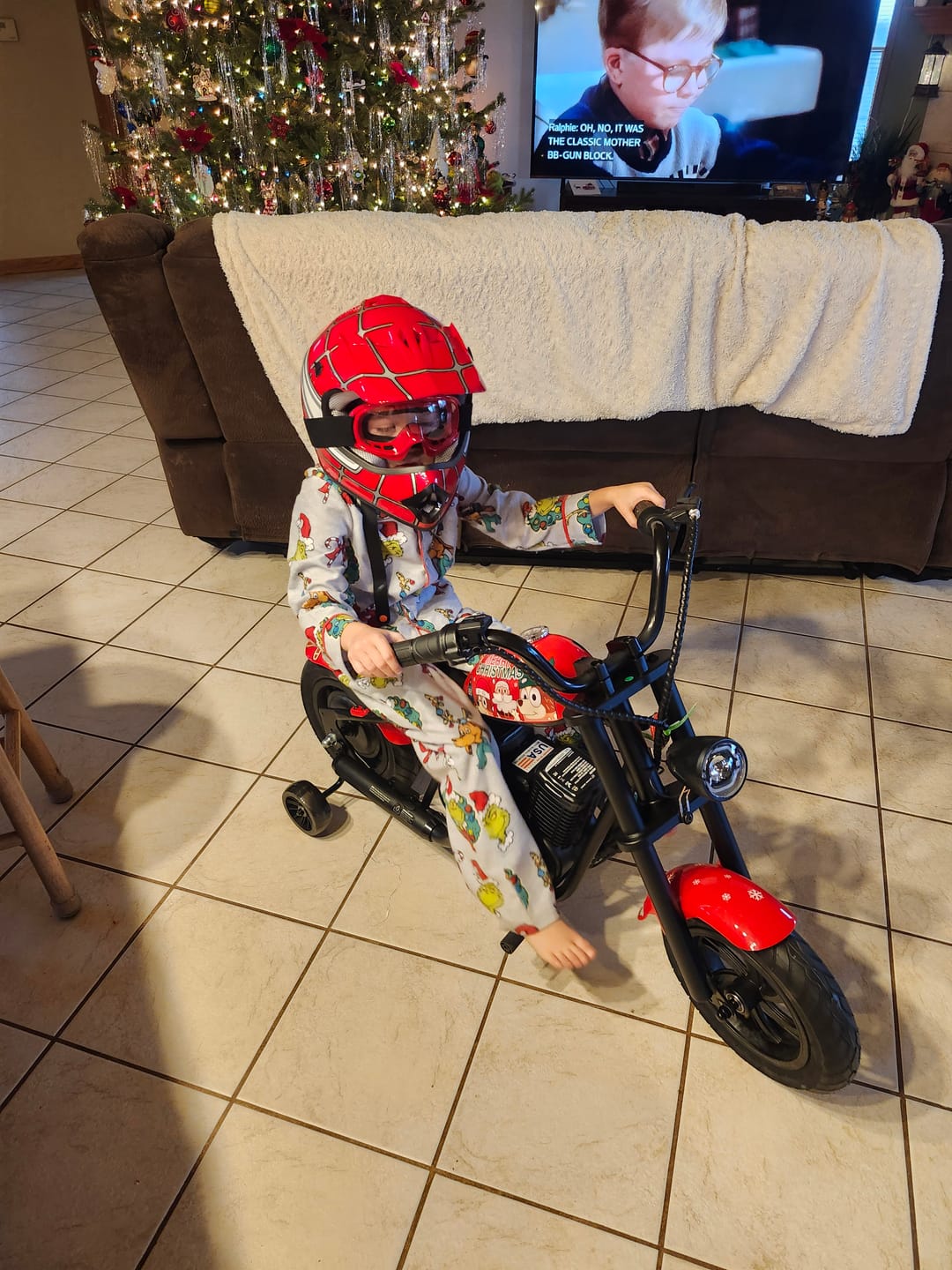 Customer photo review of Cruiser 12