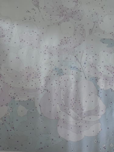 Customer photo review of Custom Landscape Paint By Numbers